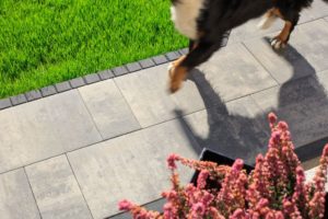 Polbruk_MultiComplex(2) Trendy tarasowe. Ponadczasowe szarości i geometryczne kształty.